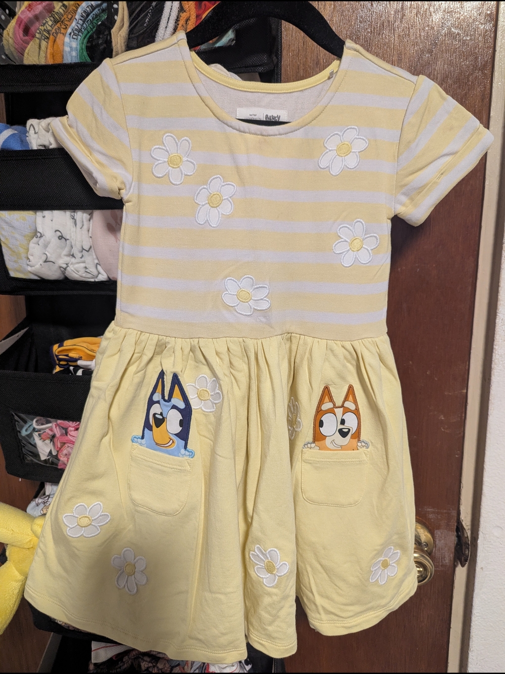 Little Sleepies Bluey Dress